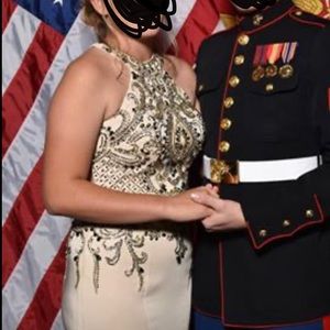 Fitted ball gown